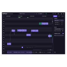 Synchro Arts RePitch 2 Standard