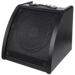DM-30 Drum Monitor