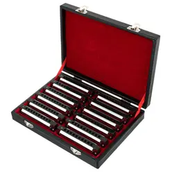 Blues Harmonica Set