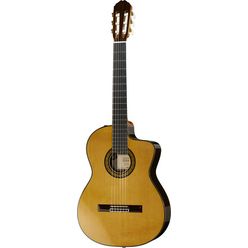 Takamine TH5C