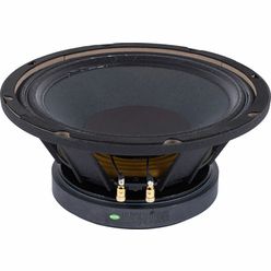 the box Speaker 10-250/8-A
