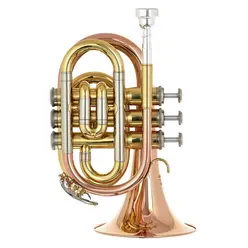TR 25G Bb-Pocket Trumpet