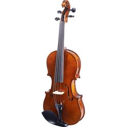 Stagg VN-4/4 HG Violin Set