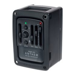 L.R.Baggs Stagepro Anthem B-Stock