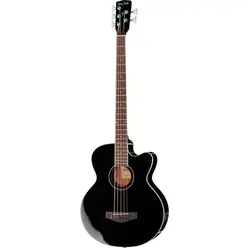B-35BK Acoustic Bass Series