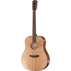 Breedlove Discovery Dreadnought