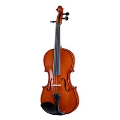 Gewa Allegro Flaxwood Violin 4/4