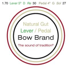 Bow Brand NG 5th D Gut Harp String No.30