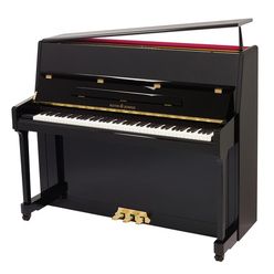 Roth & Junius RJP 118 E/P Piano