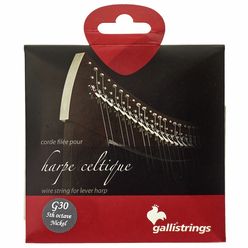Galli Strings Lever Harp Bass Wire G30