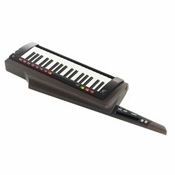 Korg RK-100S 2 Black