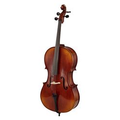 Gewa Allegro VC1 Cello Set  B-Stock