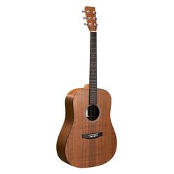 Martin Guitars DX1E Koa