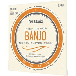 Daddario EJ63i Irish Tenor Banjo Set