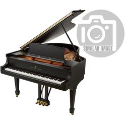 Steinway & Sons M-170 black mat