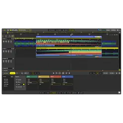 Pro + Stems