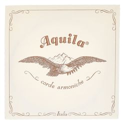 Aquila 104D140 Wound NG Lute String