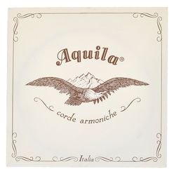 Aquila 145D140 Wound NG Lute String