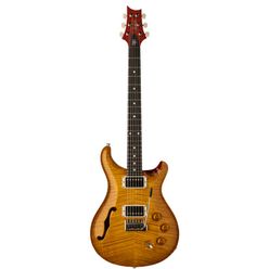 PRS DGT Semi-Hollow LTD