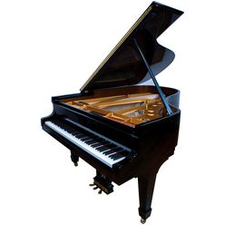 Steinway & Sons A-195 (A3)