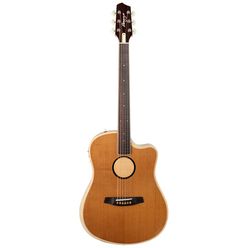 L.R.Baggs AEG 1 E- Acoustic Natural