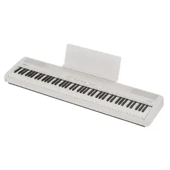 FP-40 WH