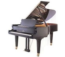 Seiler 208 Professional
