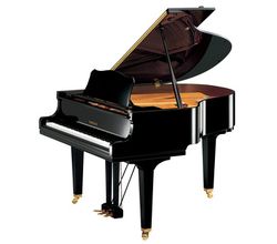 Yamaha GC1 M PE