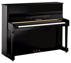 Yamaha P 116 M PE