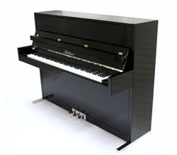 Blüthner Model D