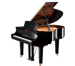 Yamaha C1X PE
