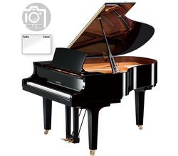 Yamaha C1X PWH