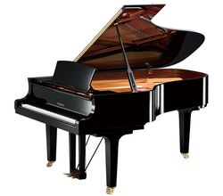 Yamaha C6X PE