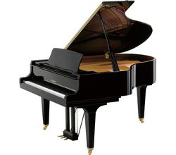 Kawai GL-50 E/P