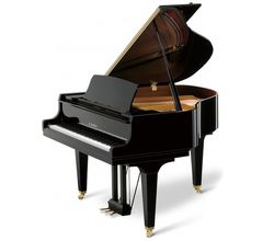 Kawai GL-10
