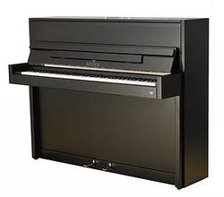 Seiler 116 Ritmo Modern black