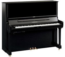 Yamaha YUS 3 TA3 PE