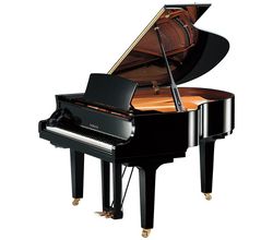 Yamaha C1X SH3 PE Silent