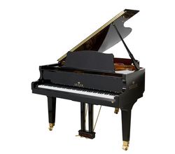 Seiler 170 Professional