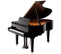 Kawai GX-2 E/P