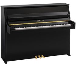 Yamaha B10 PE