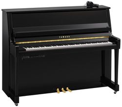 Yamaha B20 SC3 PE