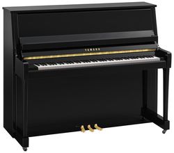 Yamaha B30 PE