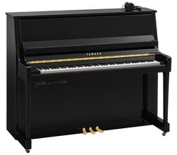 Yamaha B30 SC3 PE