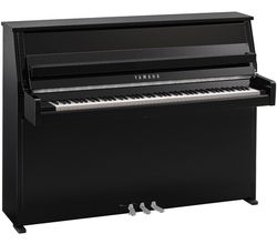 Yamaha B10 PEC