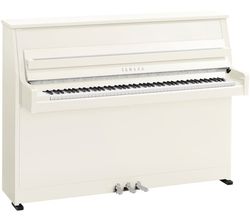 Yamaha B10 PWHC
