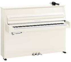 Yamaha B10 SC3 PWHC