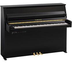 Yamaha B10 TC3 TransAcoustic