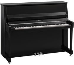 Yamaha B20 PEC