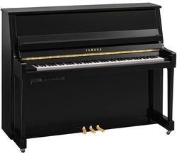 Yamaha B20 TC3 PE